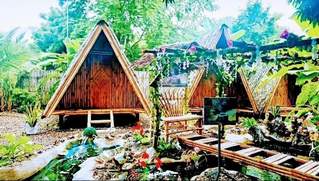 Moalboal Bamboo House / Rooms מראה חיצוני תמונה