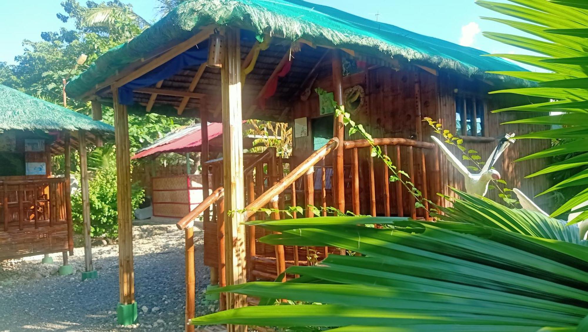 Moalboal Bamboo House / Rooms מראה חיצוני תמונה
