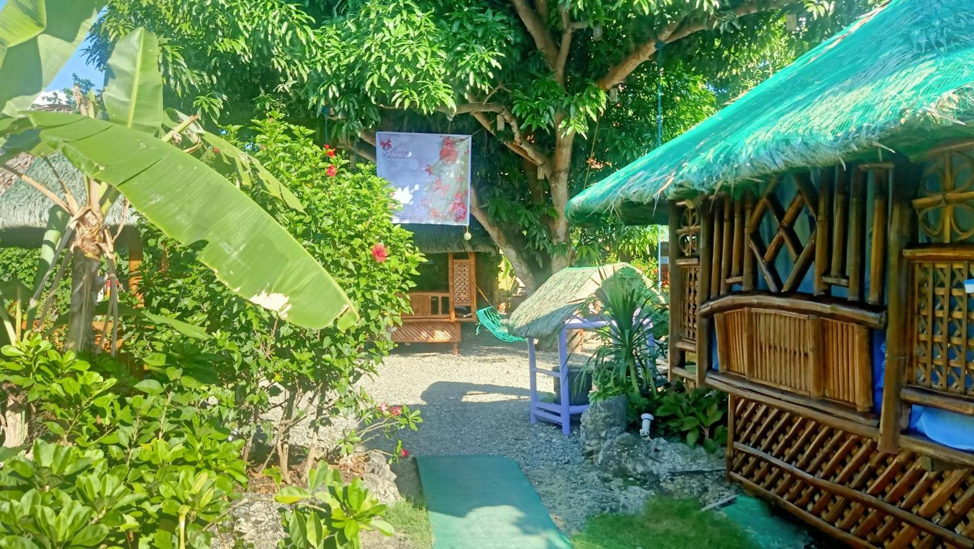 Moalboal Bamboo House / Rooms מראה חיצוני תמונה