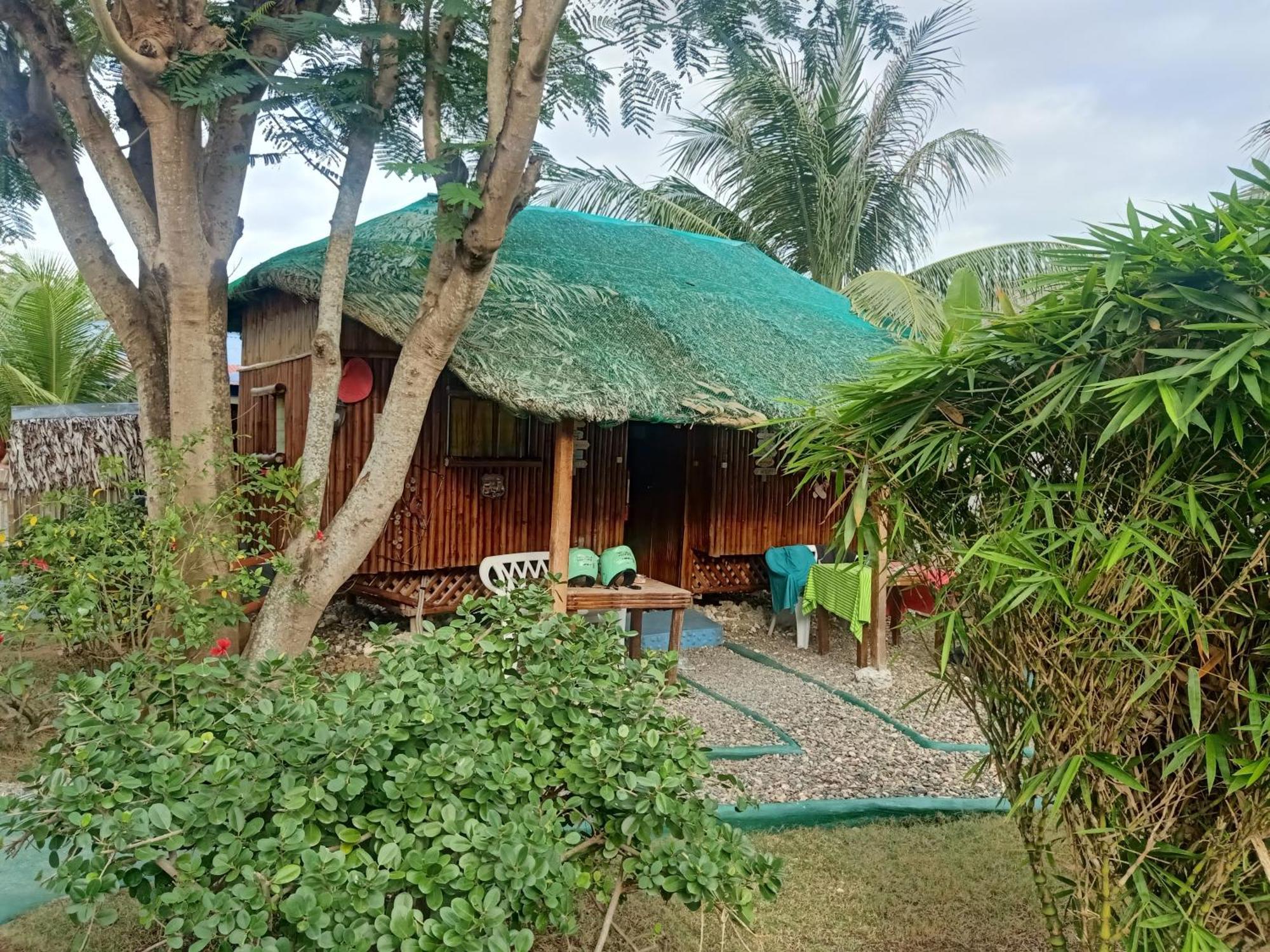 Moalboal Bamboo House / Rooms חדר תמונה